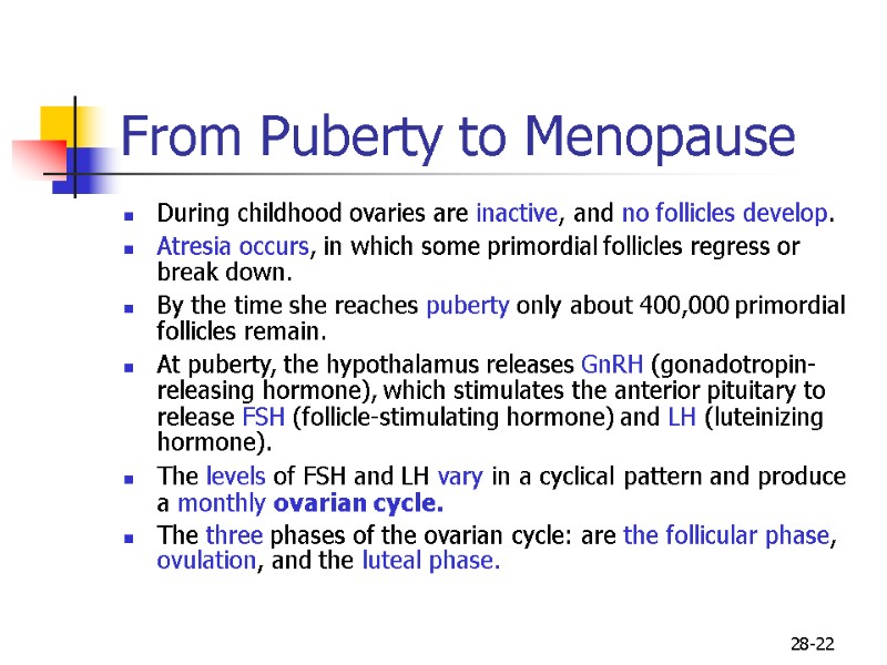 28-22 From Puberty to Menopause  During childhood ovaries are inactive, and no follicles